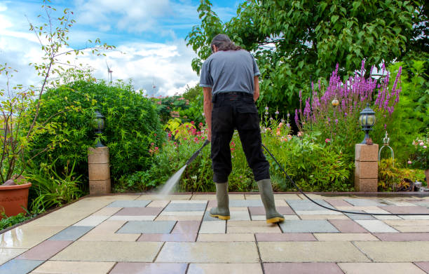 Best Driveway Pressure Washing  in Bainbridge, PA
